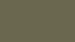 Agave Green finish